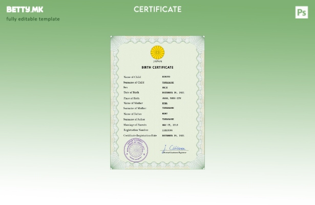 Модерен стил Јапонски витален рекорд за шаблон за ПСД извод од матична книга н